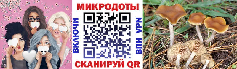 Галлюциногенные грибы Cubensis  Купить где  Собинка 
